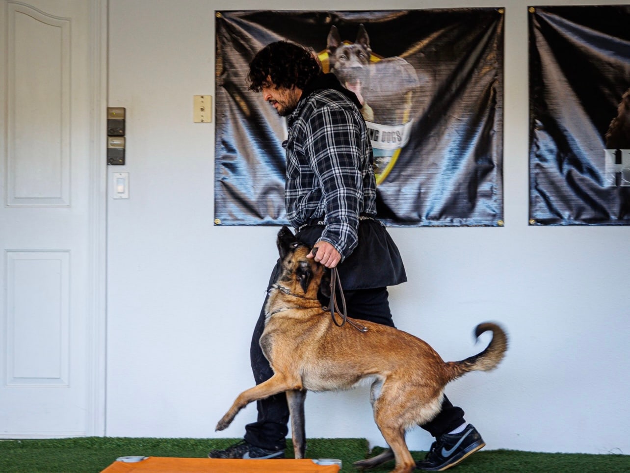Andrew Pena working an engagement drill with a Belgian Malinois at our Upland facility
